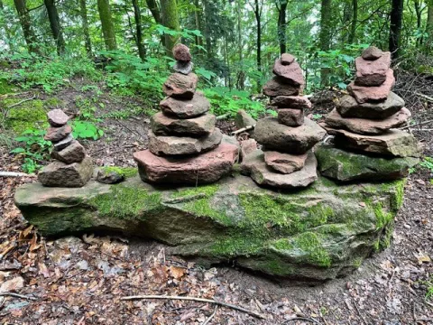 Photo principale du stage