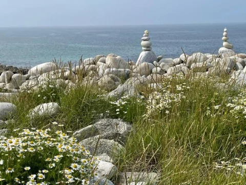 Photo principale du stage