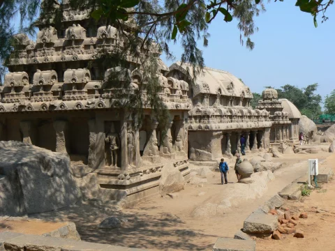 Photo principale du stage