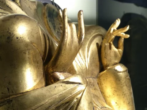 Photo principale du stage