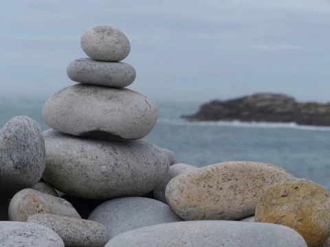 Photo principale du stage